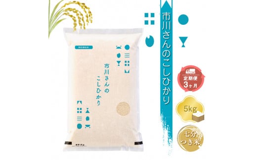 特別栽培米　市川さんのこしひかり 令和6年産【7分つき米5kg×定期便3カ月】　コメ　信州　おいしい　ごはん【 米 コメ 備蓄品 仕送り おすそ分け 備蓄米 長野県 佐久市 】 1485117 - 長野県佐久市