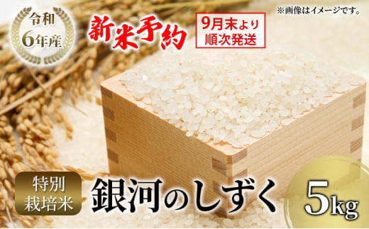 【先行予約】9月末より順次発送  りんご工房きただ  特別栽培米「銀河のしずく」5kg 令和6年 新米  米 精米 白米 お米 こめ コメ ご飯 おにぎり おむすび お弁当 和食 国産 食べ物 盛岡市 岩手県 1486310 - 岩手県盛岡市