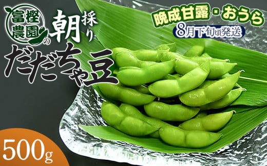 【令和7年産先行予約】 富樫農園の朝採りだだちゃ豆【8月下旬発送】500g 晩生甘露・おうら　K-712 1483212 - 山形県鶴岡市