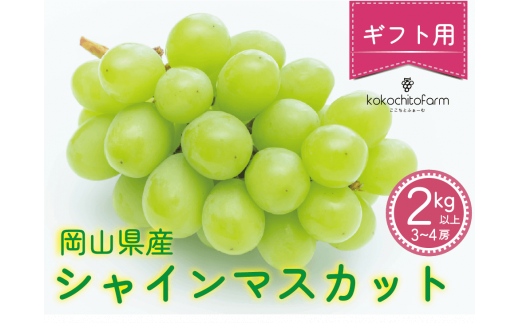 koko-04　ここちとふぁーむ　【ギフト】　岡山県産　シャインマスカット　2㎏以上　3～4房 1401281 - 岡山県真庭市