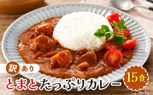 訳あり とまとたっぷりカレー（160ｇ×15袋）| 野菜の旨味 簡易包装 トマト カレー 人気 野菜たっぷり 子供 おいしい ふるさと清見21 DC022 1468923 - 岐阜県高山市