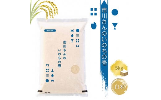 特別栽培米　市川さんのいのちの壱　令和6年産【白米5kg】　精米　コメ　信州　希少　おいしい　ごはん【 米 コメ 備蓄品 仕送り おすそ分け 備蓄米 長野県 佐久市 】