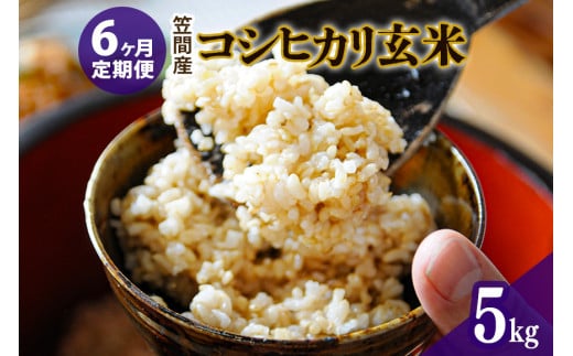 【6カ月定期便】 令和6年度 笠間産 コシヒカリ 5kg (5kg×6回 計30kg) 玄米 お米 米 ご飯 茨城県 1489372 - 茨城県笠間市