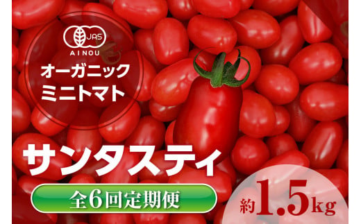 【全6回定期便】オーガニックミニトマト（サンタスティ）約1.5kg ／ とまと 野菜 高糖度 スナックタイプ 愛知県 特産品 1013504 - 愛知県知多市