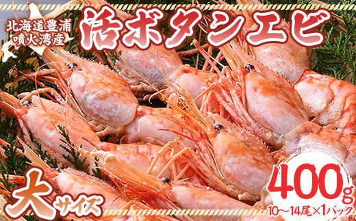 活ボタンエビ 大サイズ 400g（10～14尾）×1パック 北海道 噴火湾産 【 ふるさと納税 人気 おすすめ ランキング 魚介類 えび 海老 牡丹海老 ボタンエビ おいしい 美味しい 新鮮 北海道 豊浦町 送料無料 】 TYUR046