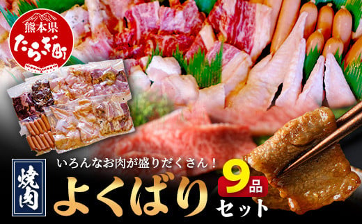 【数量限定】 村上精肉店の 焼肉 よくばりセット 【 9品 味付き 焼くだけ 】 牛カルビ ハラミ 豚バラ タン トントロ 鶏せせり 鶏もも 手羽先 ウインナー 焼き肉 BBQ アウトドア キャンプ 021-0667 1491655 - 熊本県多良木町