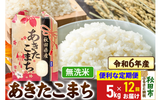 《定期便12ヶ月》 あきたこまち 5kg 令和6年産 新米 【無洗米】秋田県産 1310196 - 秋田県秋田市