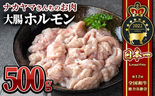 2544 [ナカヤマさんちのお肉]うしの中山 ホルモン(大腸)500g(500g×1袋) 鹿児島 黒毛和牛 和牛 牛肉 肉 国産 冷凍 ホルモン ホルモン焼 鍋 もつ鍋 煮込み おつまみ 炒め物