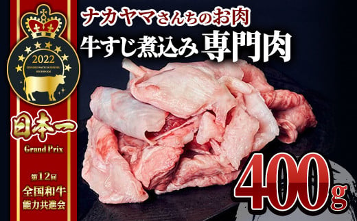 2538 [ナカヤマさんちのお肉]牛すじ煮込み専門肉 計400g(400g×1袋) 鹿児島 和牛 牛肉 肉 国産 冷凍 小分け 牛スジ 煮込 専用肉 カレー シチュー ビーフシチュー おでん クッパ