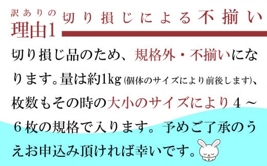 宮城県塩竈市のふるさと納税 訳あり 北海道産 真 ホッケ 開き干し 約1kg 4～6枚入り 冷凍 【 訳アリ 不揃い 規格外 国産 ほっけ 真ほっけ 熟成 ひもの 干物 宮城県 塩竈市 間宮商店 】 mm00011