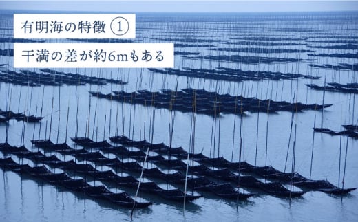 海苔 のり 塩のり