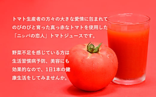 北海道平取町のふるさと納税 完熟生食用トマトの旨味たっぷり！“贅沢濃厚”「ニシパの恋人」トマトジュース有塩　お試しの30缶 ふるさと納税 人気 おすすめ ランキング トマトジュース トマト とまと 健康 美容 飲みやすい 北海道 平取町 送料無料 BRTH003