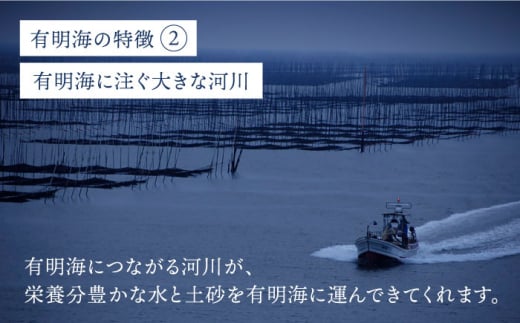 海苔 のり 塩のり