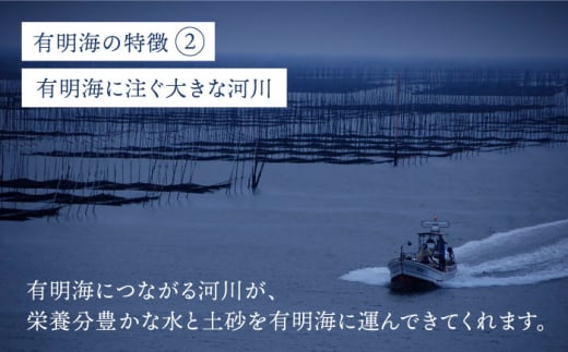 海苔 のり 焼き海苔 佐賀