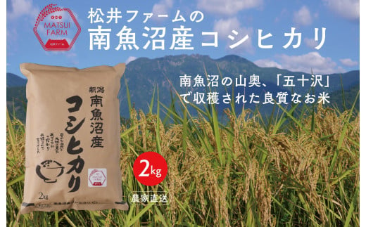 令和6年産【無洗米】南魚沼産コシヒカリ（2kg) 1486635 - 新潟県南魚沼市