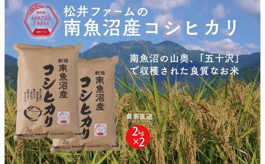 令和6年産【無洗米】南魚沼産コシヒカリ（4kg) 1486636 - 新潟県南魚沼市