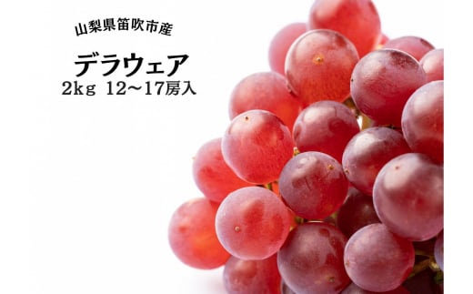 ＜25年発送先行予約＞笛吹市産デラウェア12～17房 2kg 167-051