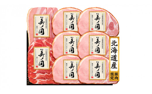 日本ハム 美ノ国 ギフトセットB 肉 にく 贈答 ギフト 詰め合わせ ハム  生ハム ロース ステーキ ベーコン [AA075ci]	
