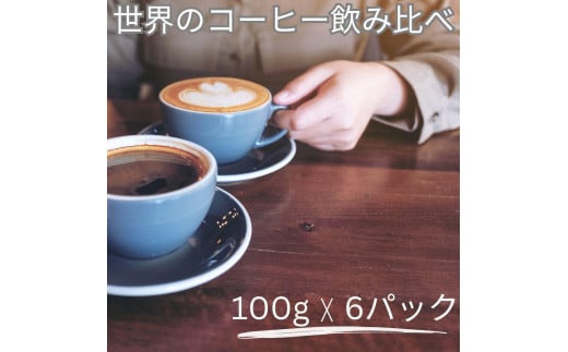 [豆]コーヒー豆 100g×6種類セット 合計600g 注文後焙煎 