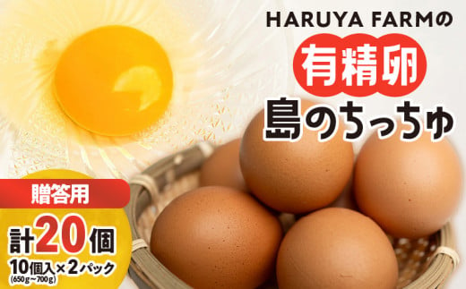 【贈答用】HARUYA FARMの有精卵「島のちっちゅ」　W065-001-01 1497866 - 鹿児島県和泊町