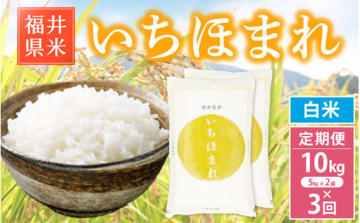 【新米・先行予約】ブランド米 定期便≪3ヶ月連続お届け≫いちほまれ 10kg × 3回 令和6年 福井県産【白米】【お米 計30キロ】【2024年12月より順次発送】 [e30-h002] 527090 - 福井県越前町