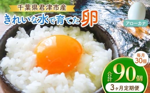 【3回定期便】きれいな水で育てた卵 アローカナ 30個 | 保坂農場  あろーかな 卵 たまご 君津市産 千葉 君津 きみつ 房総 1510951 - 千葉県君津市