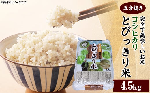 とびっきり米(コシヒカリ) 4.5kg　五分搗き【1135712】 323493 - 千葉県香取市