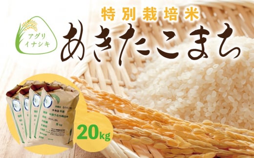 新米【令和6年産】茨城県稲敷市産 特別栽培米 あきたこまち 合計20kg (5kg×4袋)｜米 おこめ 精米 農家直送 直送 茨城県 [1101] 1490018 - 茨城県稲敷市