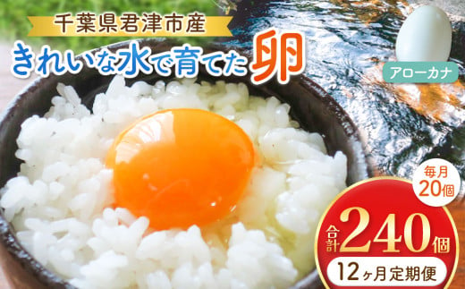 【12回定期便】きれいな水で育てた卵 アローカナ 20個  | 保坂農場 あろーかな 卵 たまご 君津市産 千葉 君津 きみつ 房総 1510949 - 千葉県君津市