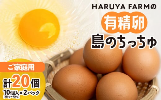 【ご家庭用】HARUYA FARMの有精卵「島のちっちゅ」　W065-001-02 1497867 - 鹿児島県和泊町