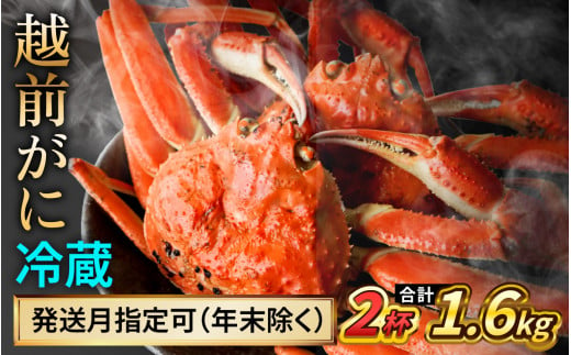 【配送月指定可】越前がに 800ｇ×2ハイ｜蟹 かに カニ 越前ガニ 越前がに ズワイガニ ずわいがに ボイル 800g 2杯 2ハイ 福井 冷蔵 送料無料 1469154 - 福井県小浜市