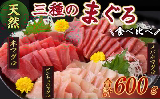 【３種のまぐろお手軽グルメセット】 ６００ｇ　本マグロ ビンチョウマグロ メバチマグロ スライス 切り落とし 切落し 天然 鮪 刺身 刺し身 食べ比べ 魚 さかな 高知 室戸 冷凍 小分け 便利 10000円 1万円