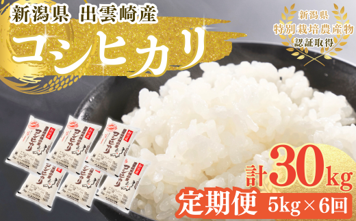 【新米】特別栽培米 新潟県産 コシヒカリ 定期便 5kg 6か月 出雲崎町産 「天領の里」 令和6年産 白米 精米 お米 合計30kg　 1486876 - 新潟県出雲崎町