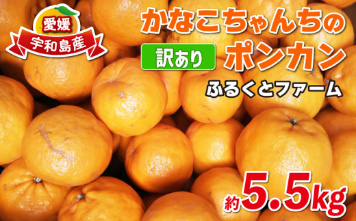 訳あり ポンカン みかん 約5.5kg ふるくとファーム かなこちゃん 先行予約 サイズ混合 わけあり 果物 くだもの フルーツ 柑橘 かんきつ 人気 蜜柑 濃厚 甘い 甘味 農家直送 産地直送 数量限定 国産 愛媛 宇和島 B010-037006 1556563 - 愛媛県宇和島市