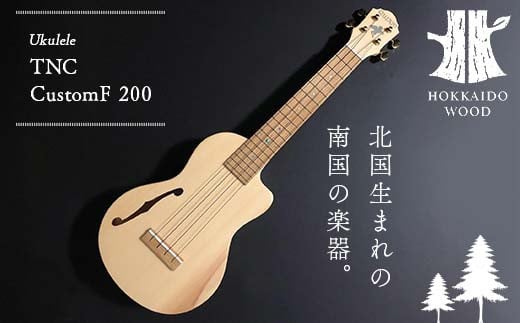 サイレント・エレキウクレレ eleComCon 楽器 弦楽器 音楽 演奏 HOKKAIDO WOOD F6S-205 - 北海道｜ふるさとチョイス -  ふるさと納税サイト