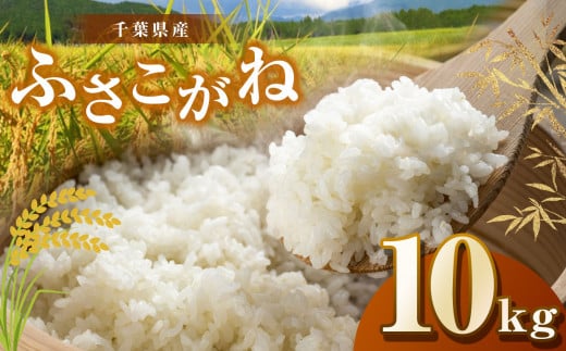 【新米・令和6年産】君津市産ふさこがね（精米）10kg | JA さだもと 米 こめ お米 おこめ 白米 精米  千葉県 君津市 きみつ 1467887 - 千葉県君津市