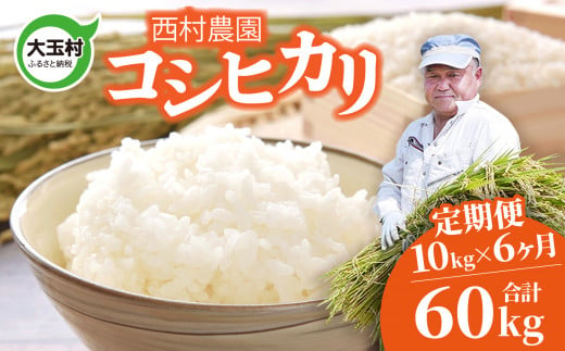 米 定期便 コシヒカリ 60kg ( 10kg × 6ヶ月 ) 《 令和6年 》 福島県 大玉村 西村農園 新米 ｜ こしひかり 精米 定期 6回 コメ ｜ nm-kh10-t6-R6 276916 - 福島県大玉村