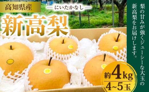 新高梨4kg（4～5玉）高知県産【2024年9月下旬～10月上旬発送予定】 梨 なし ナシ 果物 くだもの フルーツ 1070517 - 高知県香美市