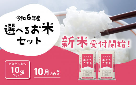 あきたこまち10kg 5kgx2袋 令和6年産 新米 10月発送 先行予約 こしひかり あきたこまち 食べ比べ 白米 精米 茨城県 八千代町 [SF013ya]