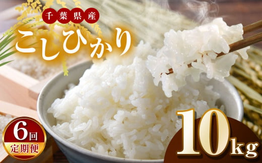 【令和6年産】【6回定期便】君津市産こしひかり（精米）10kg  | JA さだもと 米 こめ お米 おこめ 白米 精米  千葉県 君津市 きみつ 1467877 - 千葉県君津市