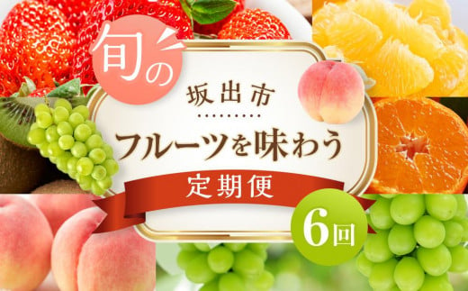 坂出市「旬のフルーツを味わう6回」定期便 【発送月：2月・4月・7月・9月・11月・12月】 1074092 - 香川県坂出市