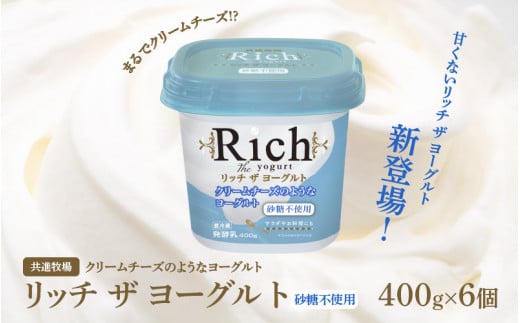 【砂糖不使用】 共進牧場 リッチザヨーグルト 400g×6個 ／ ヨーグルト 牛乳 リッチ 乳製品 リッチヨーグルト お取り寄せ お菓子 洋菓子 健康 ギフト お中元 贈答 贈り物 プレゼント お返し 夏ギフト 誕生日 新発売 人気 こども デザート 朝食 1509372 - 兵庫県兵庫県庁