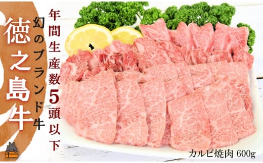 1818 年間生産5頭以下!幻の徳之島牛三角カルビ焼肉(600g)( 徳之島牛 黒毛和牛 プレミアム 稀少 牛肉 徳之島 奄美 鹿児島 ステーキ 先行予約 限定 JA食肉かごしま )