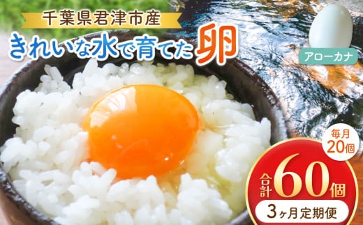 【3回定期便】きれいな水で育てた卵 アローカナ 20個  | 保坂農場 あろーかな 卵 たまご 君津市産 千葉 君津 きみつ 房総 1510947 - 千葉県君津市