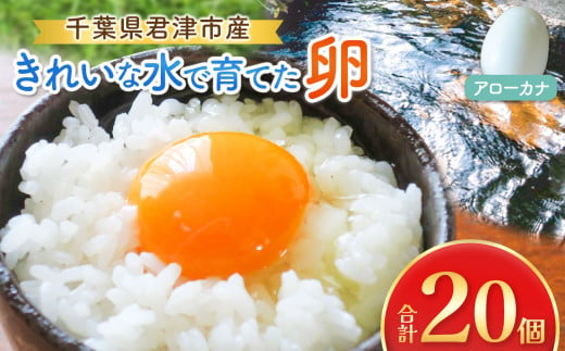 きれいな水で育てた卵 アローカナ 20個  | 保坂農場  あろーかな 卵 たまご 君津市産 千葉 君津 きみつ 房総 1510946 - 千葉県君津市