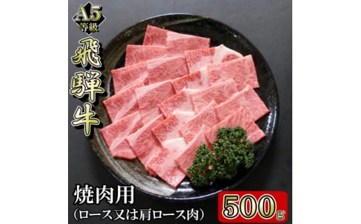 [A5等級]飛騨牛焼肉用500g　ロース又は肩ロース肉【1445787】 1084619 - 岐阜県岐南町