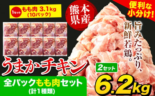 うまかチキン 全パックもも肉セット(計1種類) 合計6.2kg 3.1kg×2セット[1-5営業日以内に出荷予定(土日祝除く)]ふるさと納税 肉 とり とり肉 鳥もも肉 小分けバック 鳥 とりもも 冷凍 定期 大容量 もも肉 数量限定 簡易包装