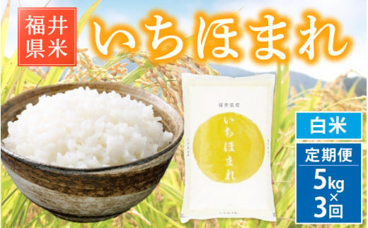 【新米・先行予約】ブランド米 定期便≪3ヶ月連続お届け≫いちほまれ 5kg × 3回 令和6年 福井県産【白米】【お米 精米 計15キロ 人気品種】【2024年12月より順次発送】 [e30-d008] 527092 - 福井県越前町