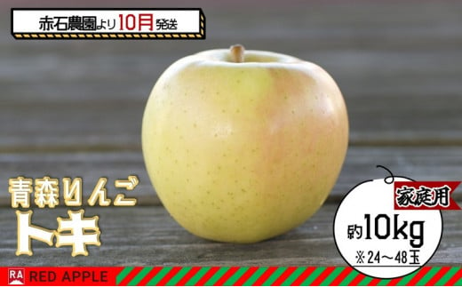 りんご 【 10月発送 】家庭用 トキ 約 10kg 【 弘前市産 青森りんご  果物 フルーツ 食後 デザート 黄色りんご 濃厚な甘み 爽やかな香り 果汁たっぷり  】 1052498 - 青森県弘前市