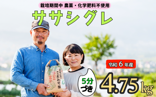 令和６年産 【栽培期間中 農薬・化学肥料不使用】ササシグレ(5分づき)4.75kg真空包装(6-51A) 1484740 - 長野県飯山市